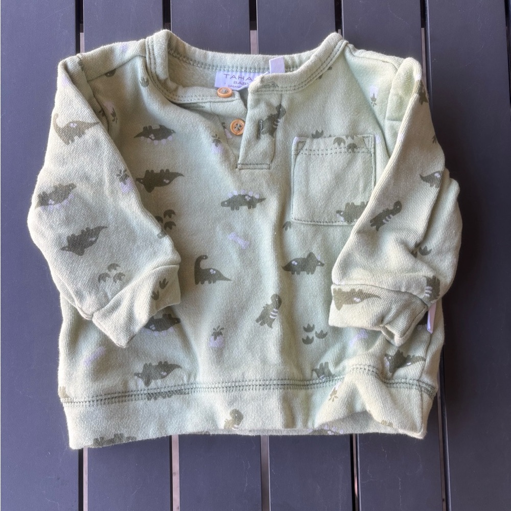 Kids Dinosaur Print Sweatshirt - Green